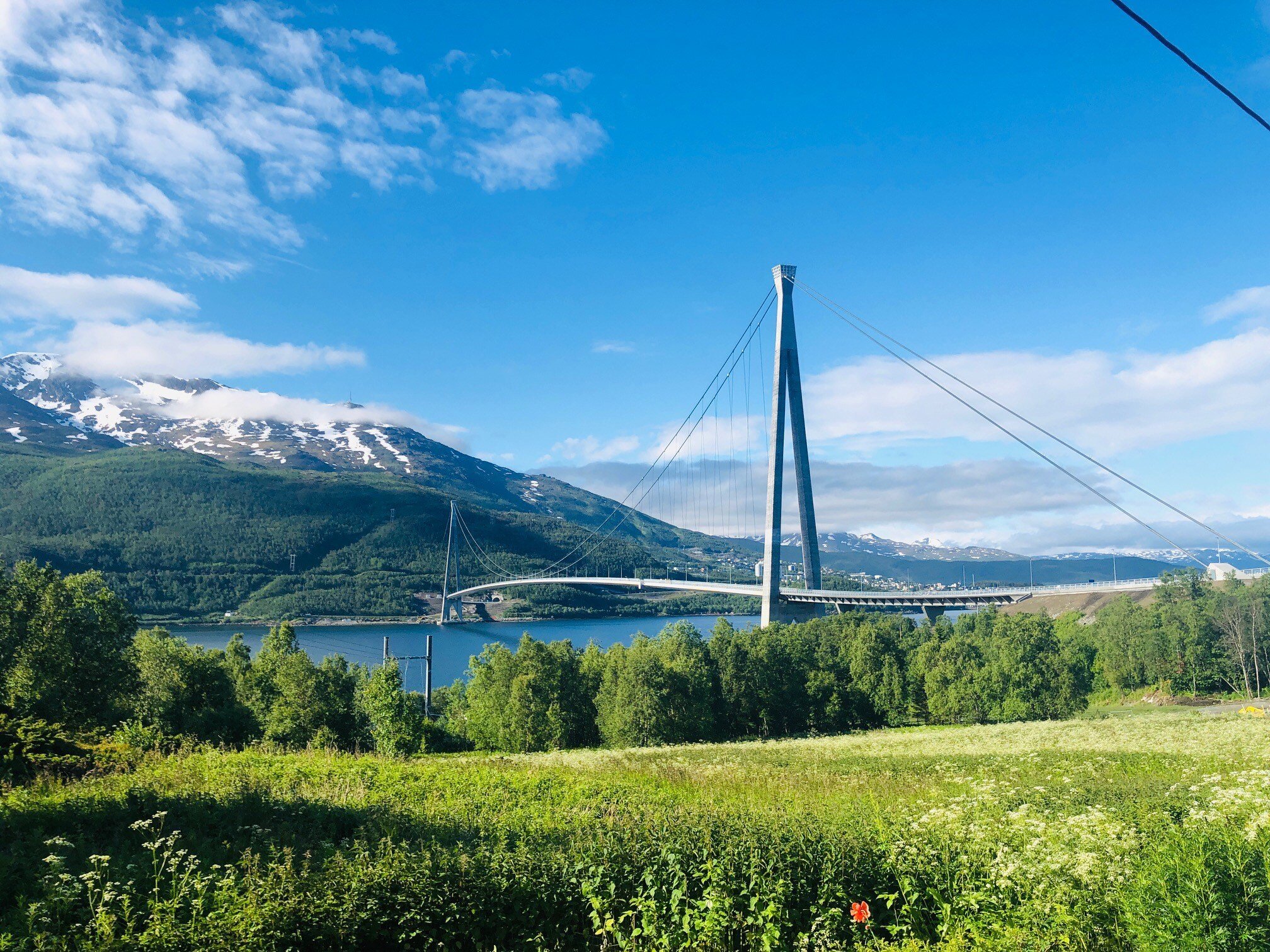 Nydelig landskap med blå himmel, grønn eng og en bro.