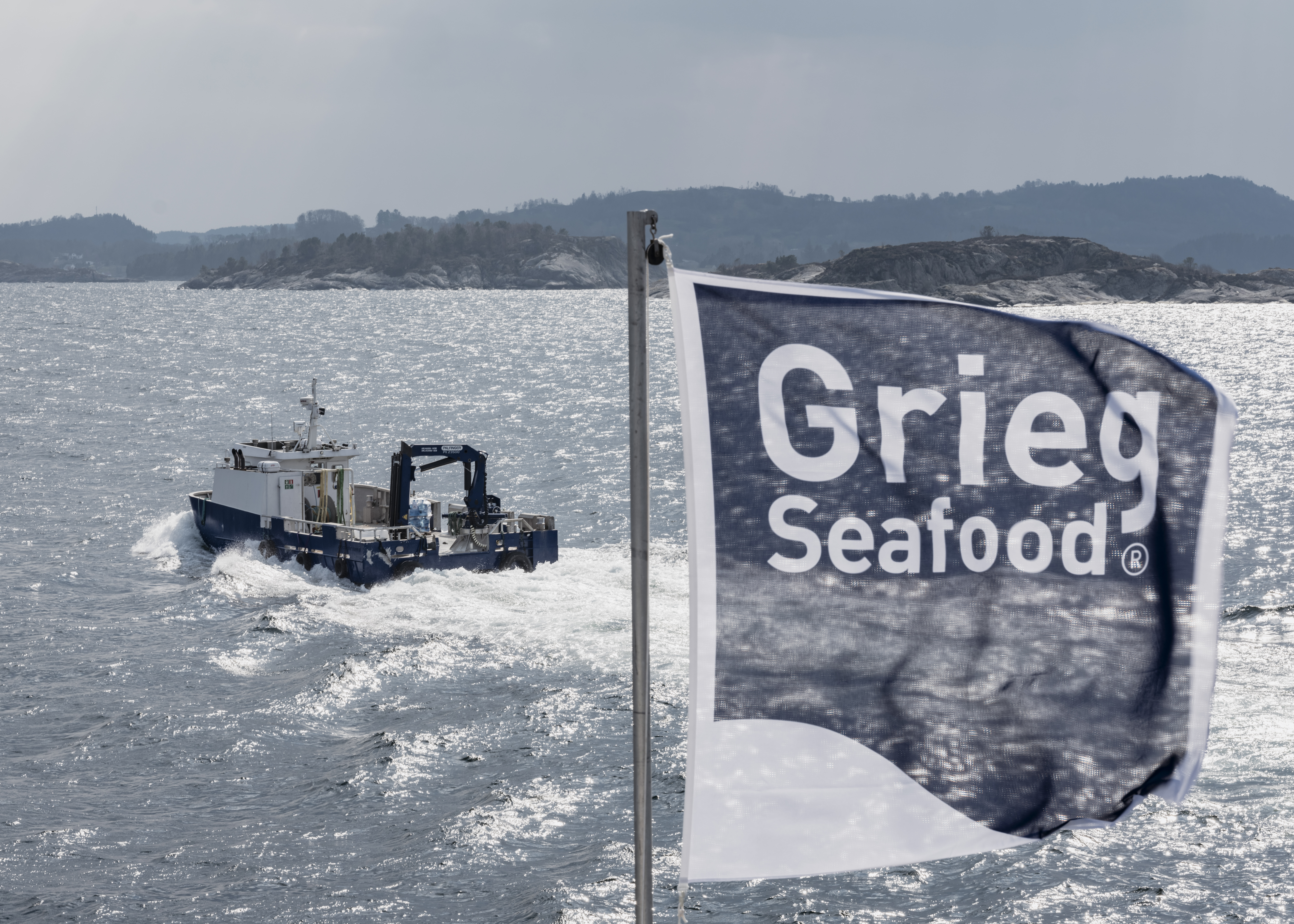 Bilde som viser en båt på havet og Grieg Seafood sin logo